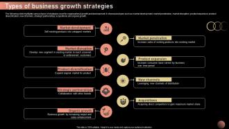Types Of Business Growth Strategies Strategic Plan For Company Growth Strategy SS V