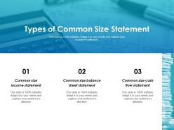 Types of common size statement ppt layouts introduction