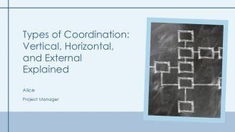 Types Of Coordination Vertical Horizontal And External Explained PPT Guidelines AT