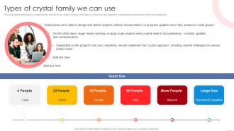 Types Of Crystal Family We Can Use Agile Crystal Methodology IT