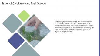 Types Of Cytokinins And Their Sources PPT Example ST AI SS Types Of Cytokinins And Their Sources PPT Example ST AI SS