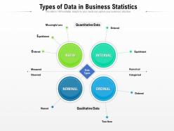 Types of data in business statistics