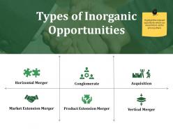 Types of inorganic opportunities ppt styles examples