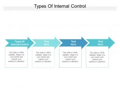 Types of internal control ppt powerpoint presentation gallery designs download cpb