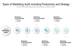 Types Of Marketing Audit Including Productivity And Strategy