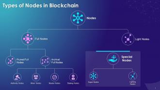 Types Of Nodes In Blockchain Training Ppt