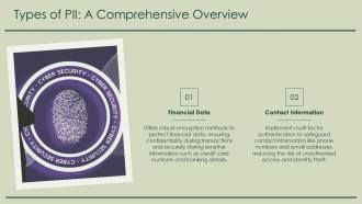 Types Of PII A Comprehensive Overview PPT Template ST AI SS