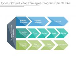 Types Of Production Strategies Diagram Sample File