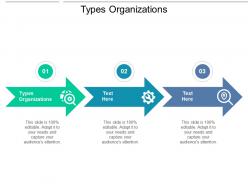 Types organizations ppt powerpoint presentation ideas templates cpb
