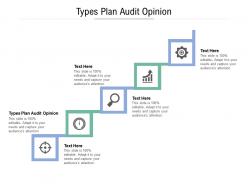 Types plan audit opinion ppt powerpoint presentation ideas designs cpb