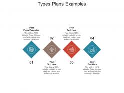 Types plans examples ppt powerpoint presentation summary topics cpb