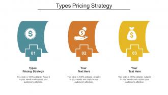 Types Pricing Strategy Ppt Powerpoint Presentation Outline Guide Cpb
