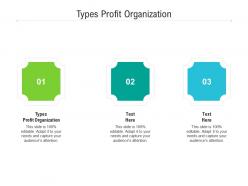 Types profit organization ppt powerpoint presentation ideas graphic tips cpb