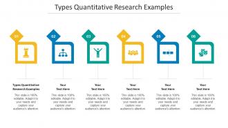 Types Quantitative Research Examples Ppt Powerpoint Presentation Outline Template Cpb