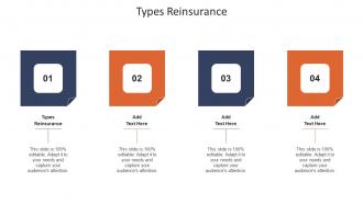 Types Reinsurance Ppt Powerpoint Presentation Styles Infographic Template Cpb