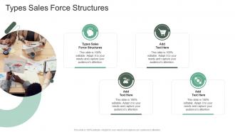 Types Sales Force Structures In Powerpoint And Google Slides Cpb