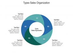 Types sales organization ppt powerpoint presentation gallery slide portrait cpb