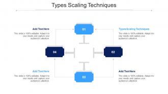 Types Scaling Techniques Ppt Powerpoint Presentation Summary Show Cpb