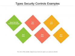 Types security controls examples ppt powerpoint presentation styles templates cpb