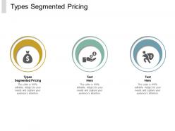 Types segmented pricing ppt powerpoint presentation model show cpb