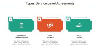 Types Service Level Agreements Ppt Powerpoint Presentation Show Outline Cpb