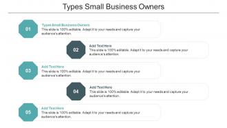 Types Small Business Owners Ppt Powerpoint Presentation Pictures Gallery Cpb