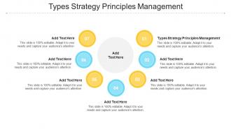 Types Strategy Principles Management In Powerpoint And Google Slides Cpb