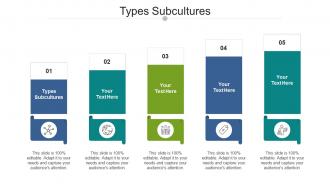 Types Subcultures Ppt Powerpoint Presentation Inspiration Gridlines Cpb