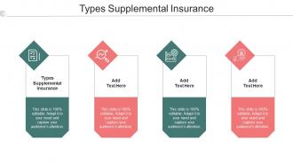 Types Supplemental Insurance Ppt Powerpoint Presentation Summary Icon Cpb