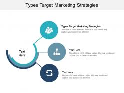 Types target marketing strategies ppt powerpoint presentation show ideas cpb