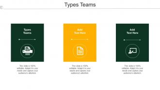 Types Teams Ppt Powerpoint Presentation File Example Cpb