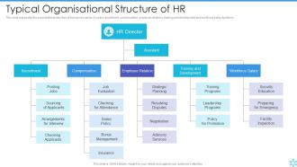 Typical Organisational Structure Of Hr