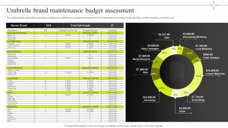 Umbrella Brand Maintenance Budget Assessment Efficient Management Of Product Corporate