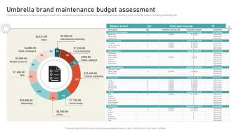 Umbrella Brand Maintenance Budget Assessment Leveraging Brand Equity For Product