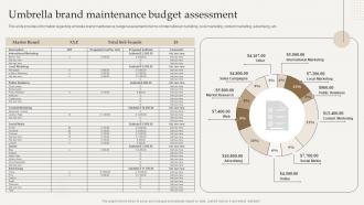 Umbrella Brand Maintenance Budget Assessment Optimize Brand Growth Through Umbrella Branding Initiatives