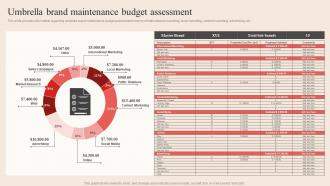 Umbrella Brand Maintenance Budget Assessment Optimum Brand Promotion By Product