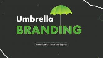 Umbrella Branding Powerpoint Ppt Template Bundles