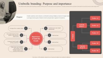 Umbrella Branding Purpose And Importance Optimum Brand Promotion By Product