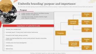 Umbrella Branding Purpose And Importance Successful Brand Expansion Through