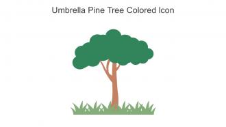 Umbrella Pine Tree Colored Icon In Powerpoint Pptx Png And Editable Eps Format