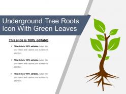 Underground tree roots icon with green leaves