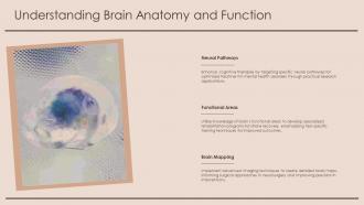 Understanding Brain Anatomy And Function Neuroscientific PPT Summary ST ...