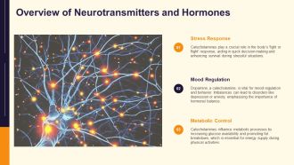 Understanding Catecholamines Neurotransmitters PPT Outline AT Slides Ideas