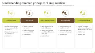 Understanding Common Principles Of Crop Rotation Complete Guide Of Sustainable Agriculture Practices