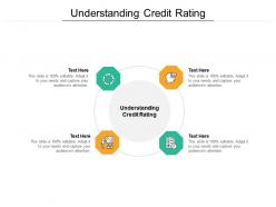 Understanding credit rating ppt powerpoint presentation icon slide download cpb