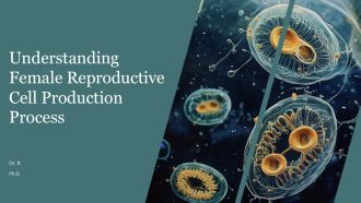 Understanding Female Reproductive Cell Production Process PPT Demonstration AT