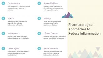 Understanding Inflammatory Agents Causes And Effects PPT Slides ST AI Aesthatic Researched