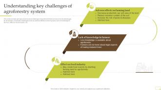 Understanding Key Challenges Of Agroforestry System Complete Guide Of Sustainable Agriculture Practices