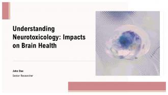 Understanding Neurotoxicology Impacts On Brain Health PPT Template ST AI