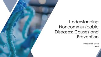 Understanding Noncommunicable Diseases Causes And Prevention PPT Sample AT